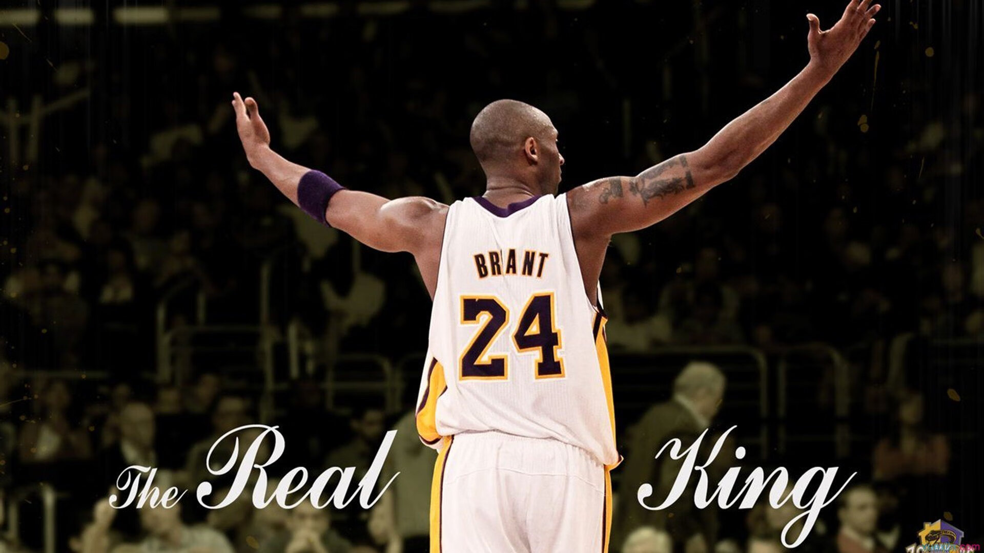 开云电竞服务-NBA球星空切接球秒进：篮球场上的速度与艺术